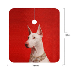 Luxury Doberman Designer Barber Cape